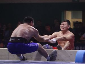 Мегино-Кангаласский улус завоевал Кубок Федерации по мас-рестлингу на вечное хранение