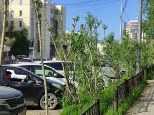 Прогноз погоды на 6 августа: В ряде районов Якутии ожидаются сильные дожди