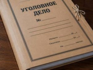 УФСБ России по Якутии возбудила уголовные дела в отношении жителя Якутска, публично призывавшего к насильственному изменению конституционного строя