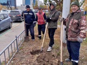 Итоги экологической акции «Пригороды - городу»: 884 новых дерева за одну неделю