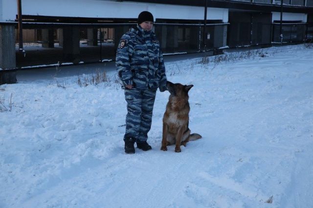 Собака Лайза вывела полицию на след злоумышленников
