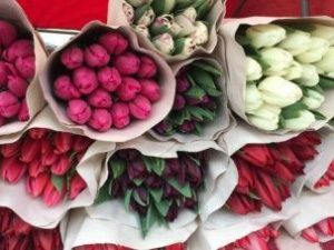 Житель Якутска заказал три тысячи тюльпанов и стал жертвой мошенников