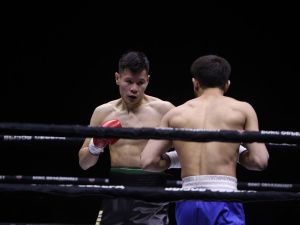 Без единого поражения. Якутские боксёры завоевали титулы вечера профбокса «Вызов Севера»