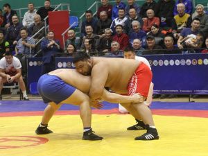 Борцы Тимур Николаев и Никита Софронов завоевали титулы абсолютных чемпионов турнира Ноговицыных