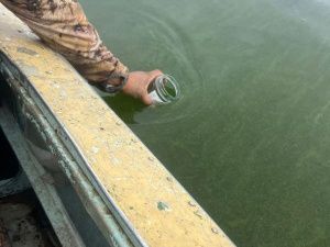 Эксперты объявили цветение озера Нидили в Кобяйском улусе - естественным явлением