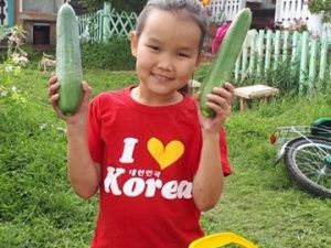 В Чурапчинском улусе предпринимаются меры по поддержке населения