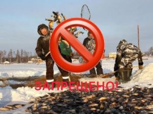 В Чурапчинском улусе приостановлены массовые мунха