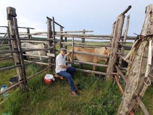 Афанасий Максимов:  «Когда меня «чудо-мэр» сделает почетным фермером?»