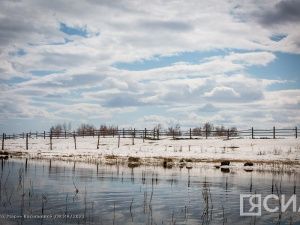 Народные приметы на 21 апреля 2024 года: что нельзя делать в этот день