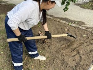 В городе Якутске продолжается трудовой проект студенческих отрядов «Острог - 2024»
