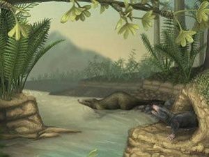 Ученые нашли в Якутии останки двух млекопитающих времен динозавров