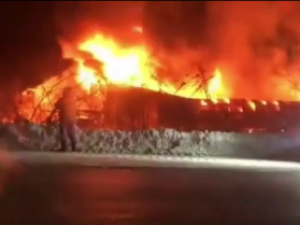 В Якутске дотла сгорел парк доисторических ящеров и современных животных Александра Файзеля