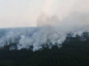 В Якутии введен особый противопожарный режим