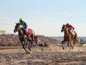 На конные скачки в День России будет курсировать автобус