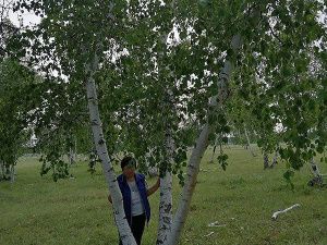 Итоги онлайн фотоконкурса "В объективе: Просторы Якутии" 