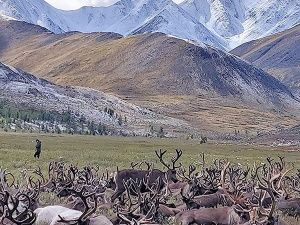 Итоги онлайн фотоконкурса "В объективе: Просторы Якутии" 