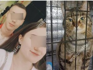 Месть из-за расставания: Пожарный Максим, обвиняемый в издевательствах над котом Василием, подал встречное заявление о клевете