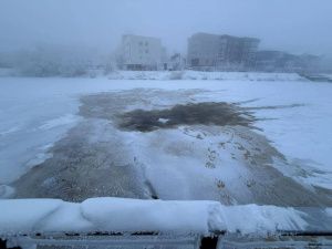 "Синема центр" устроил экологическую катастрофу на Талом озере