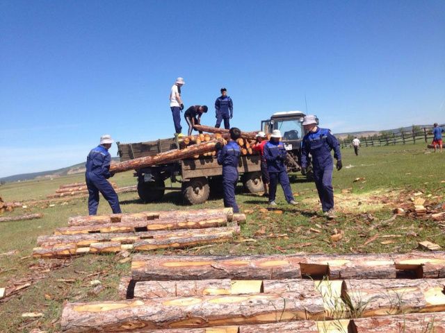 Стройки и промышленность:  министерство молодежи Якутии рассказало о предпочтениях бойцов студотрядов в 2023 году