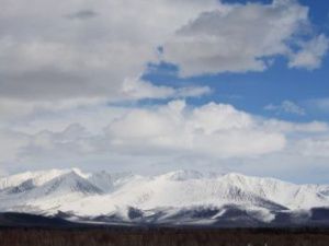 Золотое месторождение в Оймяконье получило вторую жизнь