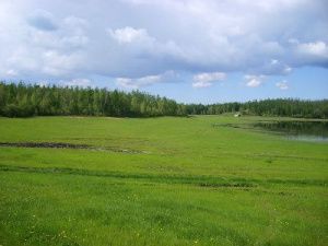 В Чурапчинском улусе идет подготовка к сенокосной кампании