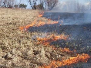 Можно ли жечь траву после окончания пожароопасного сезона?