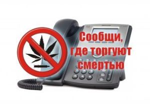 В рамках акции «Сообщи, где торгуют смертью!» ветераны органов внутренних дел Якутии организовали лыжный пробег