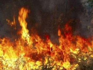 Амгинскому поджигателю назначили год исправительных работ