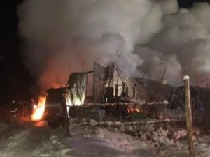 Сгорел парк ящеров, пострадал хозяин, семье нужна помощь!