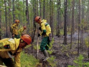 В Верхоянье направят дополнительные силы для борьбы с лесными пожарами