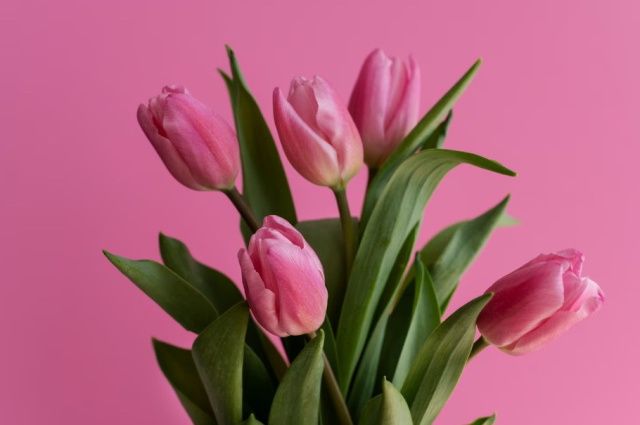 Горожане могут сообщить о случаях незаконной реализации цветов на территории города Якутска