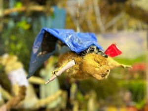 Зайцы-спортсмены и ондатра-супермен: необычные чучела животных делает таксидермист из Якутии