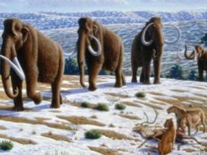 Археологи рассказали, как люди покоряли «мамонтовые степи» в Арктике