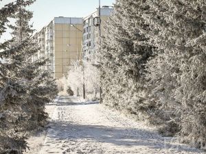 Началась последняя в году короткая рабочая неделя
