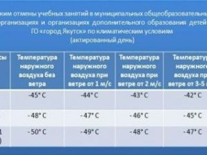 Минус 43, безветренно: занятия в школах состоятся у всех учеников