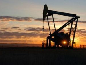 В ходе расследования уголовных дел о неуплате налогов нефтедобывающей организацией следователи добились полного возмещения причиненного ущерба