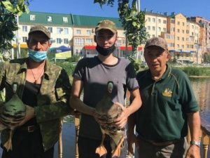 На озере Щорса выпустили лебедей и уток 