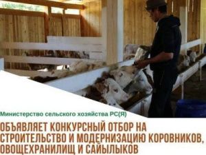 Объявлен отбор на получение субсидий для строительства и модернизации коровников, овощехранилищ и сайылыков