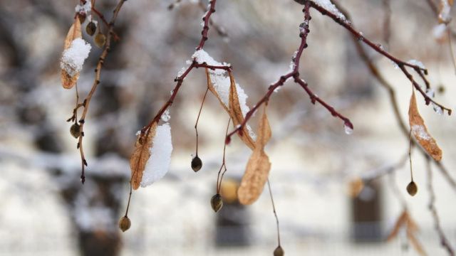 Сегодня Сергей Капустник: традиции и приметы 8 октября