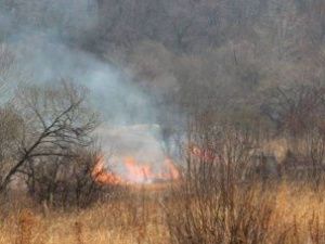 Ликвидированы лесные пожары в Усть-Майском районе. Горят леса еще в двух районах