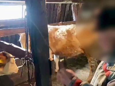 Цепь, дубинка и переломы: в Якутии начался суд по делу о рабском труде на ферме