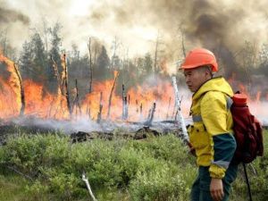 В Якутии площадь лесных пожаров, пройденная огнем, превысила 1,2 млн га