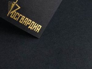 В Якутии в одном из охотничьих магазинов изъято 23 единицы оружия