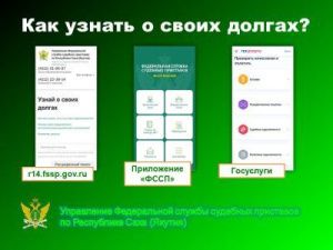 «Узнай о своих долгах прямо сейчас»