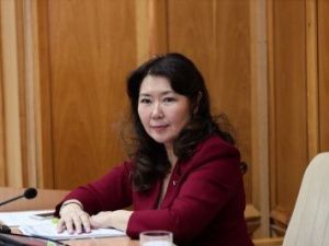 Законопроект "О земском журналисте", инициированный депутатом Марией Христофоровой, рассмотрят в Ил Тумэне