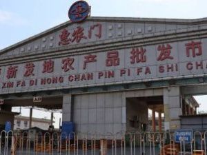 В Китае выяснили, что коронавирус с рынка Пекина оказался старше европейских штаммов