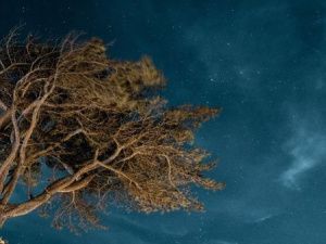 Гороскоп на 14 июня 2023 года: приумножение личных ресурсов и крупная сделка