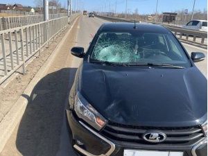 Шок: В Якутске водитель сбил девушку на пешеходном переходе