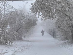 Гидрометцентр: в Якутске в ближайшие 10 дней теплее не станет