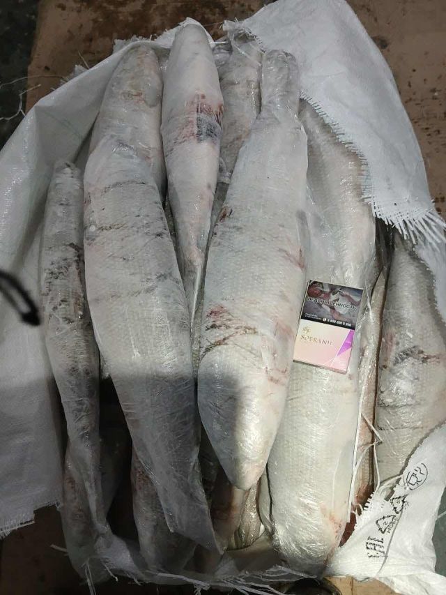 Тем временем подлёдный чир подешевел с приходом весны